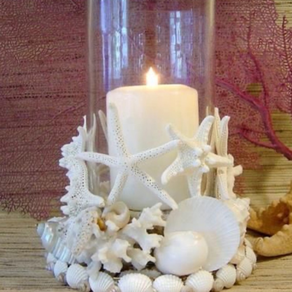 Shells 🐚 and corks